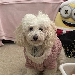 Meet your Posher, Kaitlyn